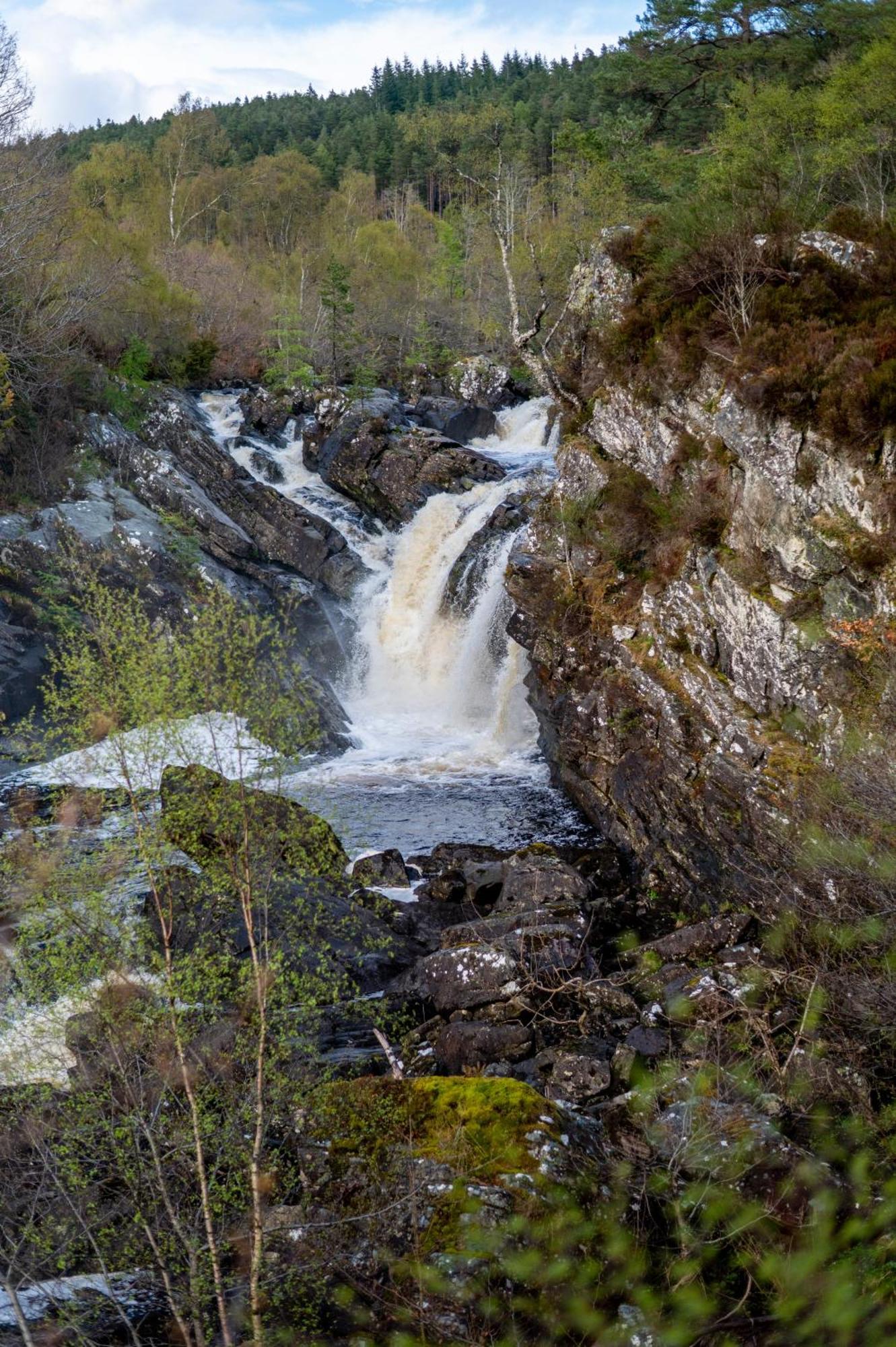 Youth * Inverness